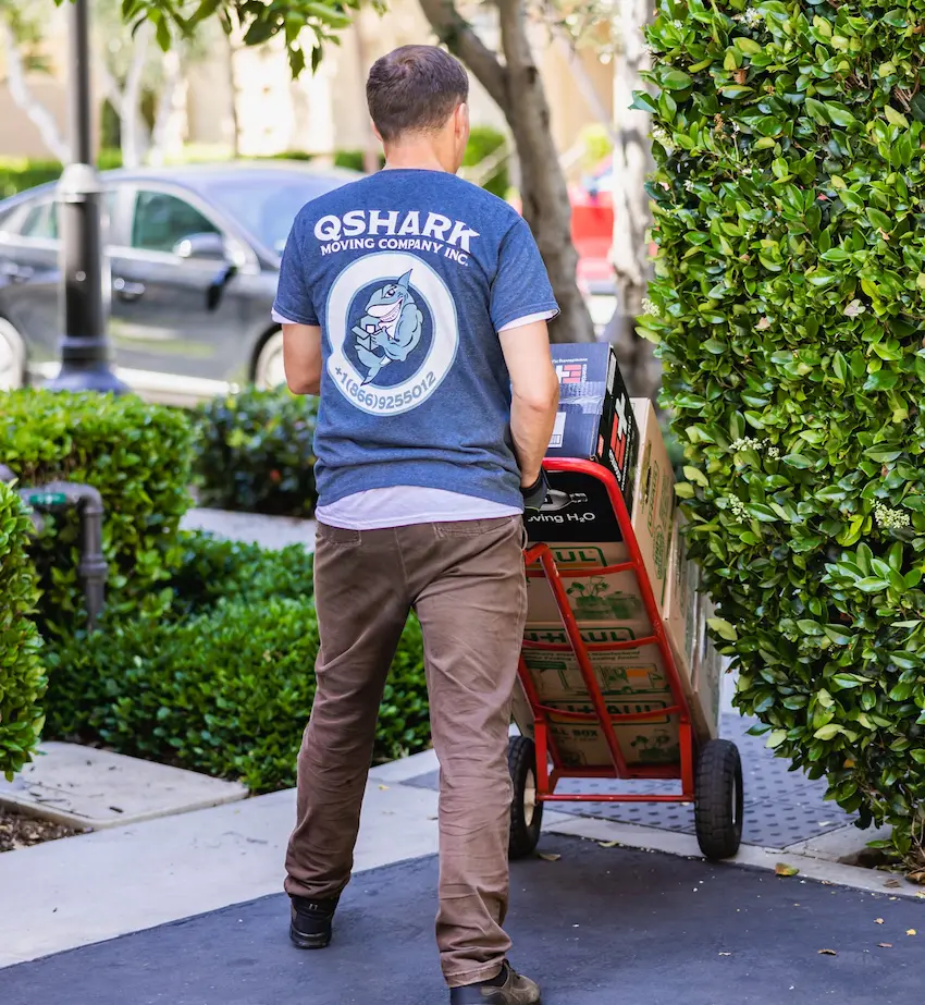 qshark moving worker with dolly and boxes