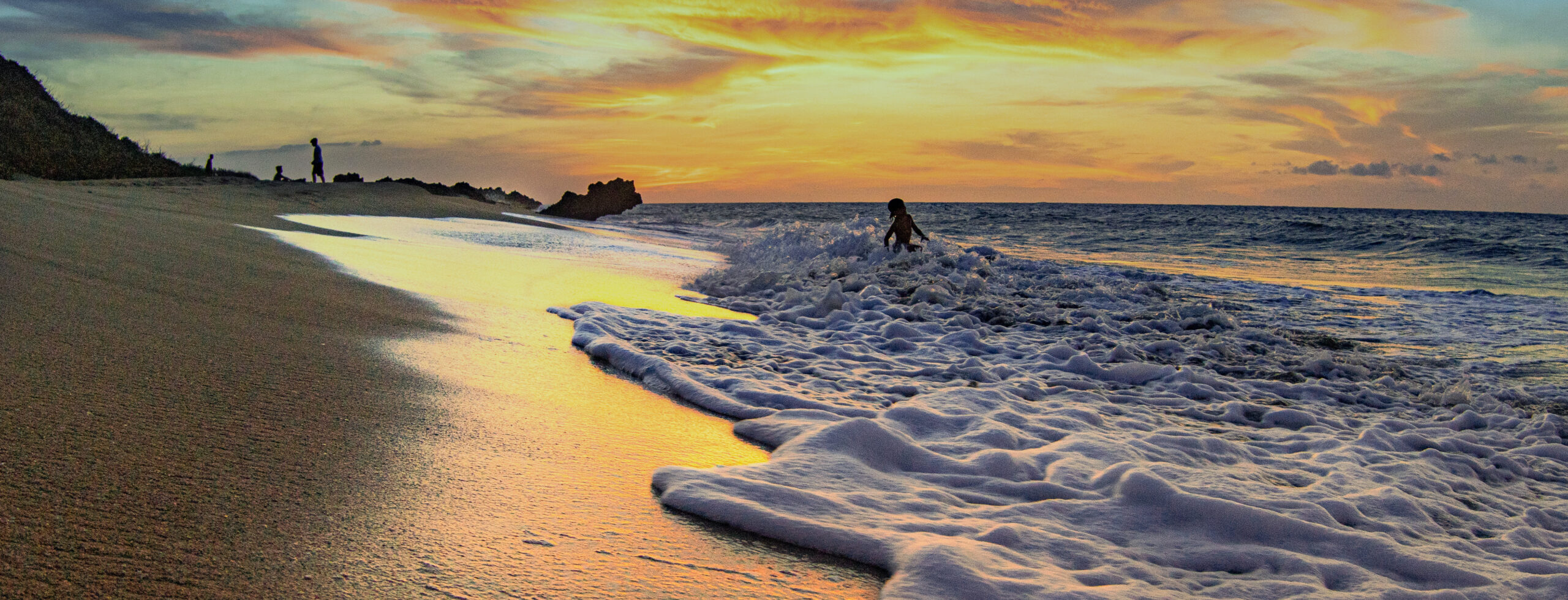 Huntington Beach Movers