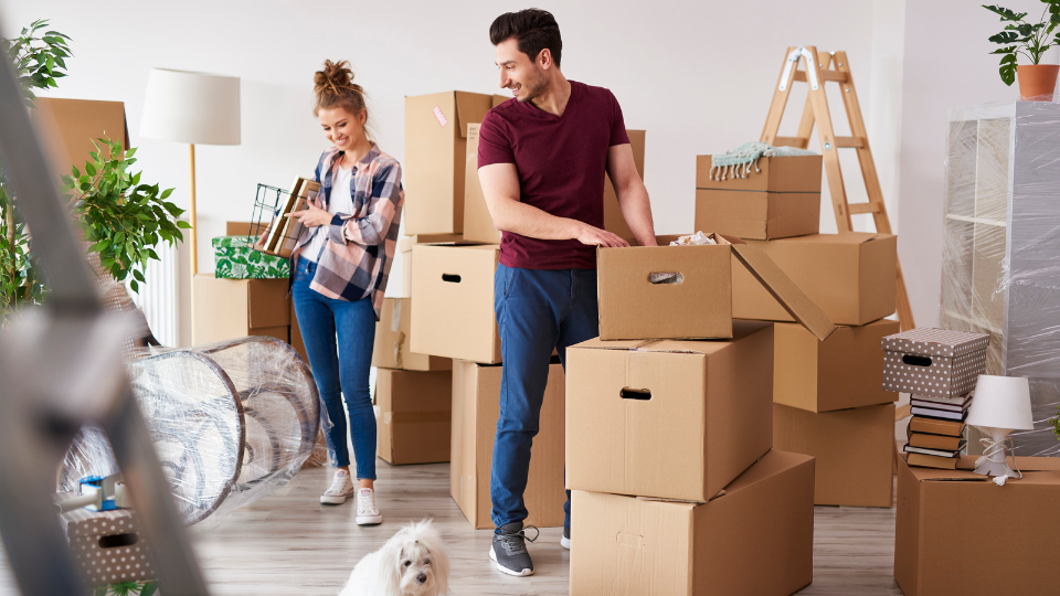 moving process with qshark moving company