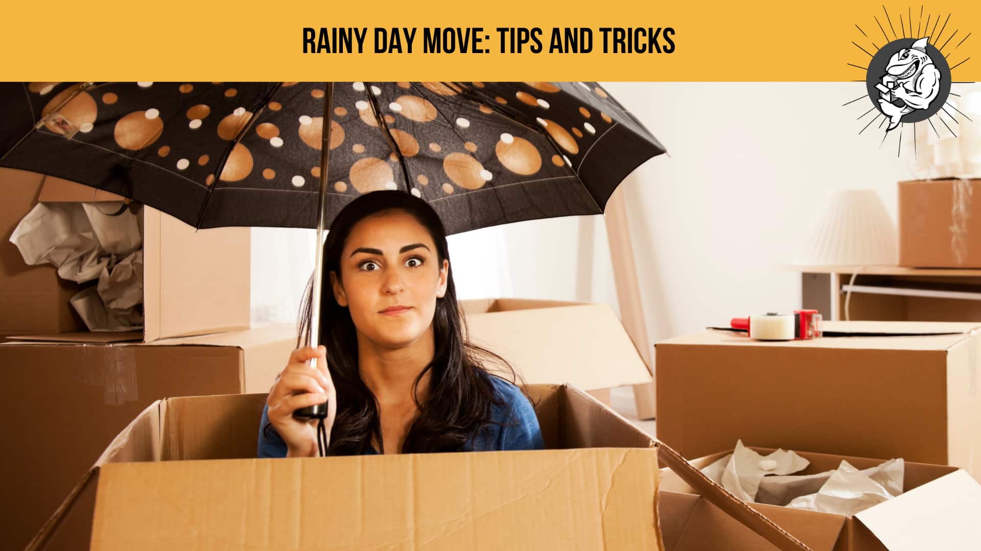 Do Movers Move in the Rain? 2026 Guide to Safe Rainy-Day Moving | QShark Moving