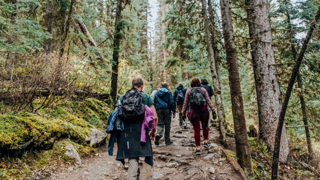 Hiking Trails and Parks