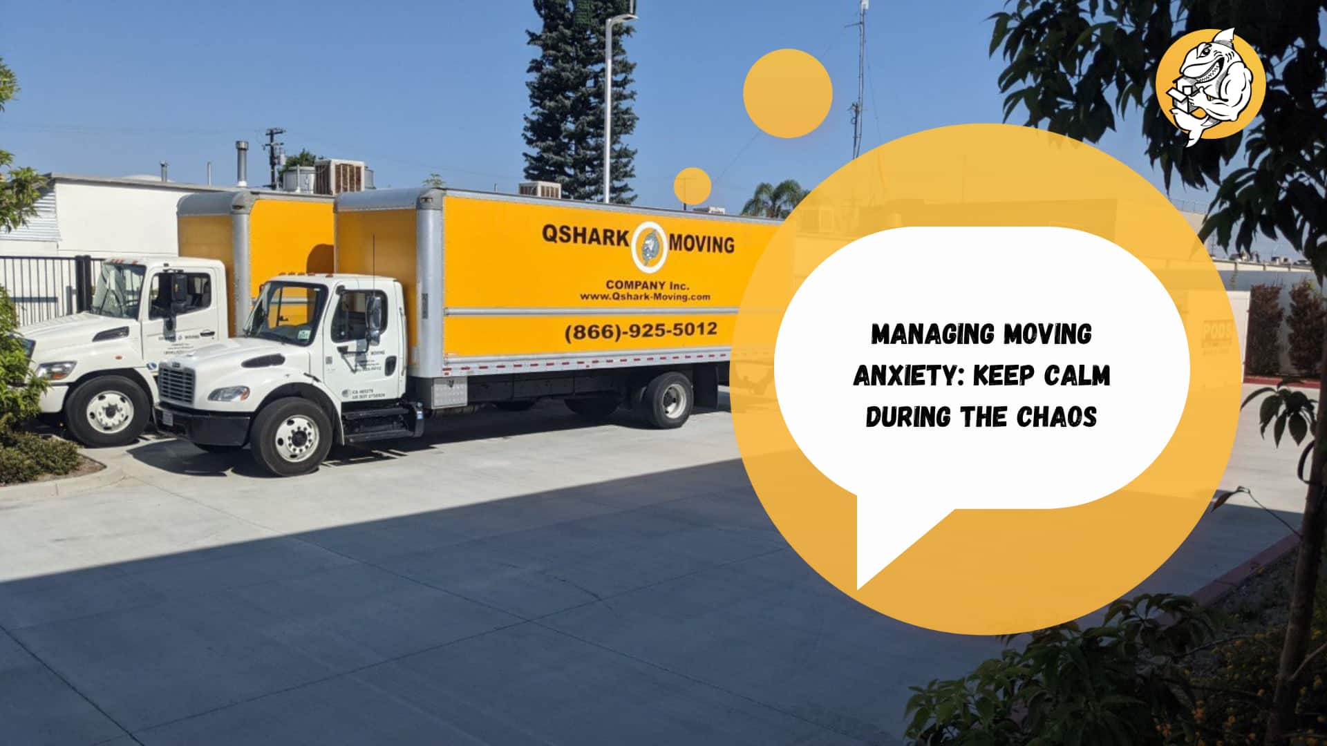 Managing Moving Anxiety: Keep Calm During the Chaos