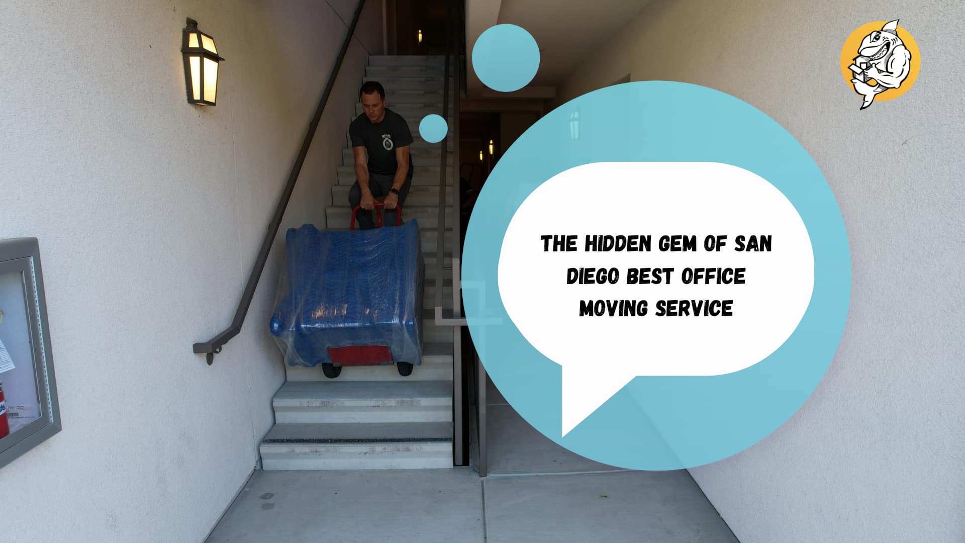The Hidden Gem of San Diego Best Office Moving Service