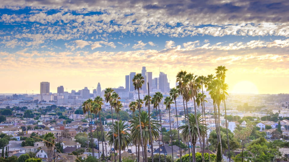 Cost Of Moving in Los Angeles and How To Save Money