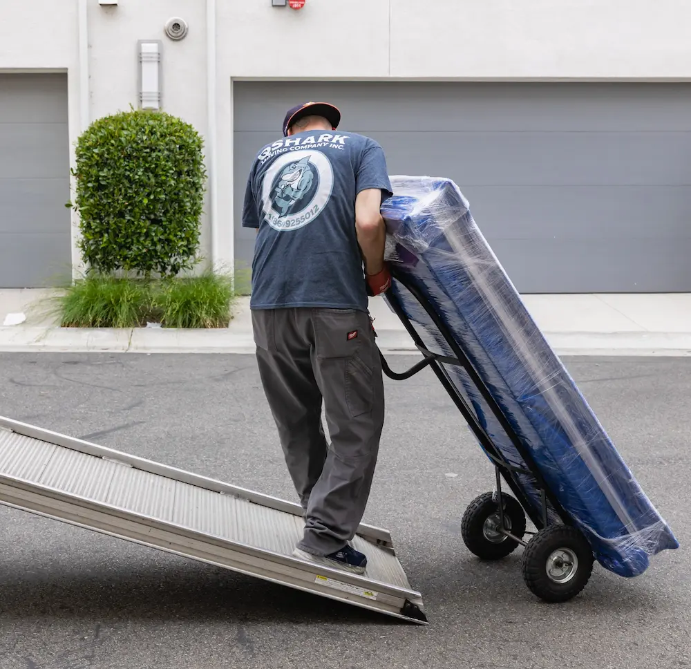qshark employee working