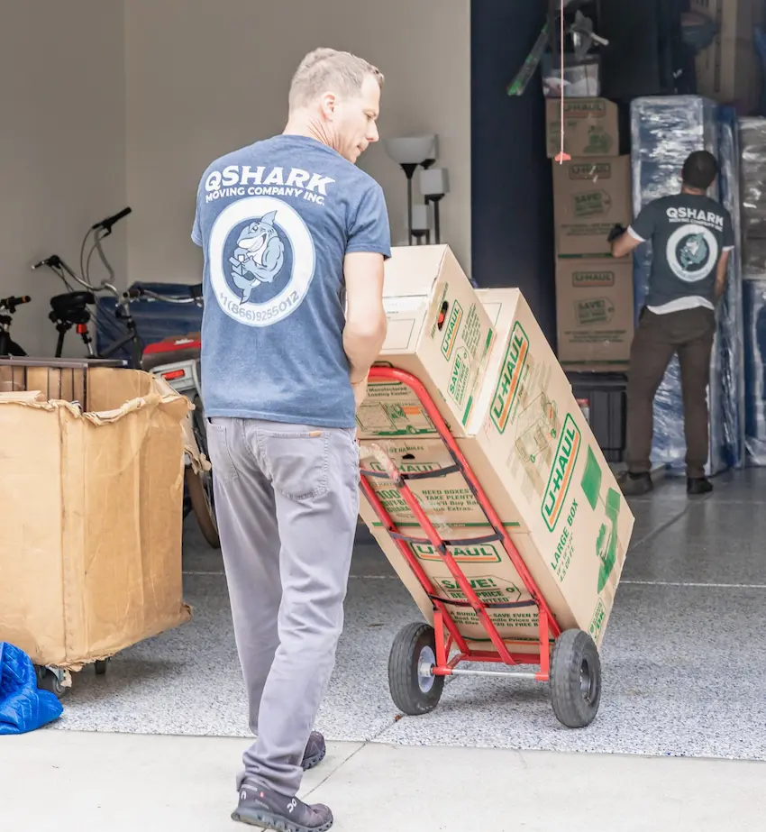worker moving boxes