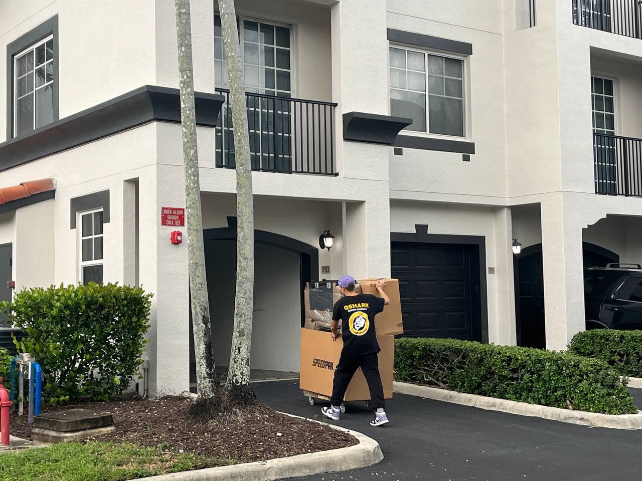 Movers delivering boxes during house move