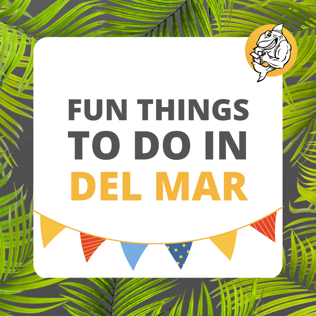Fun things to do in Del Mar. After using movers Del Mar and settle down here are some things you can check out in the city!