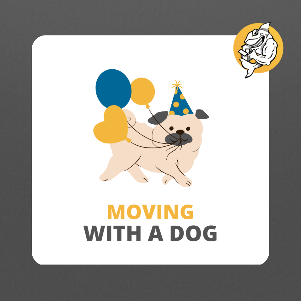 Moving with a dog? These tips will help you prepare when moving with a pet