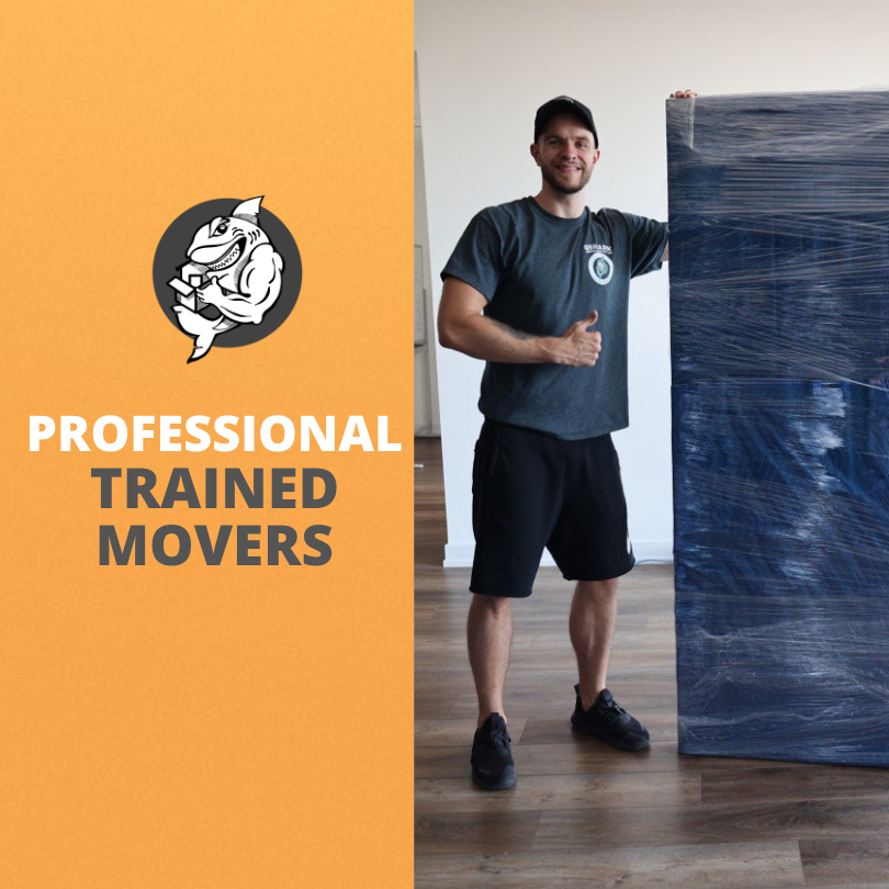 picture of professional and trained movers