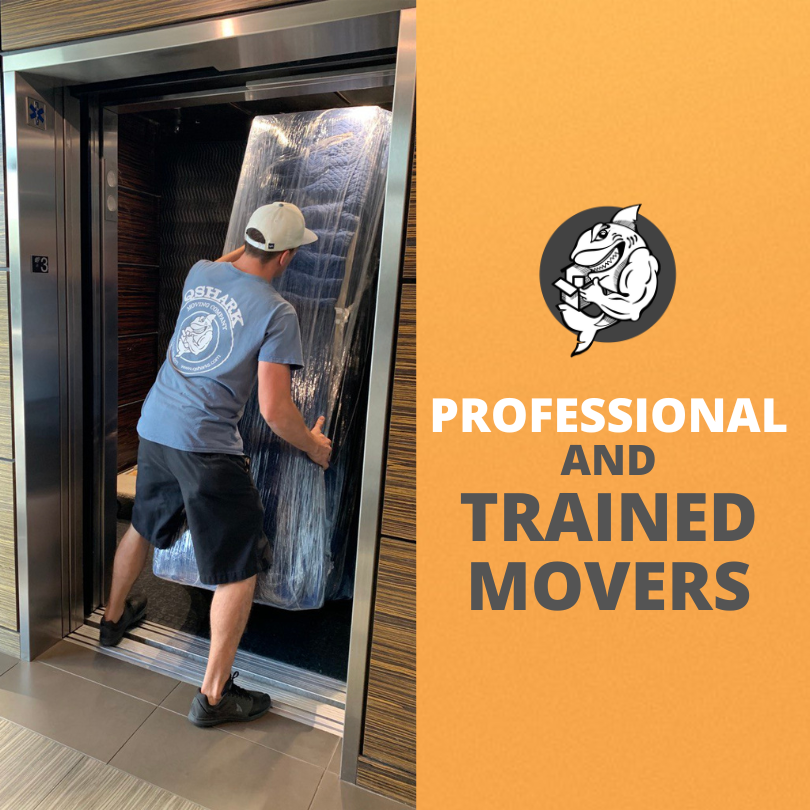 professional and trained movers, why choose qshark moving