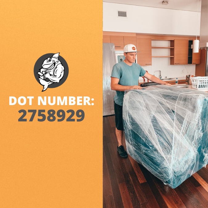 dot number Qshark Moving Company