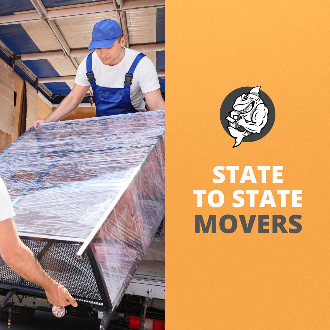 State to to state professional movers