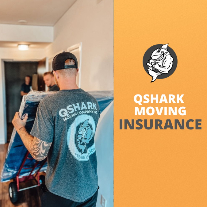 qshark moving insurance