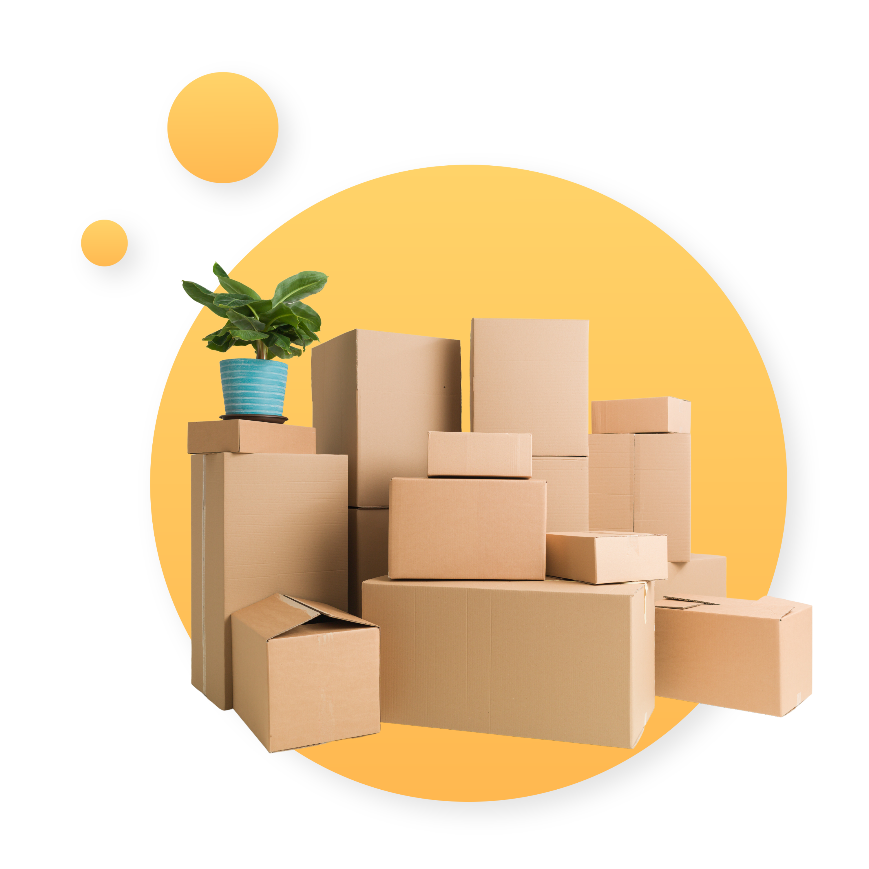 Best rated packing services, trained movers