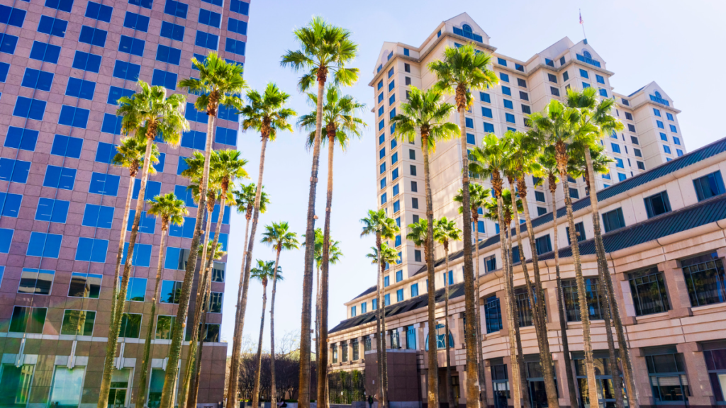 A picture of San Diego's vibrant neighborhoods, such as urban living in Downtown and East Village, family-friendly suburbs in Chula Vista and Normal Heights, and beachside communities in La Jolla and Pacific Beach