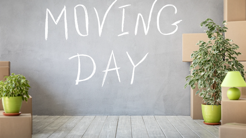 a picture showing moving day process