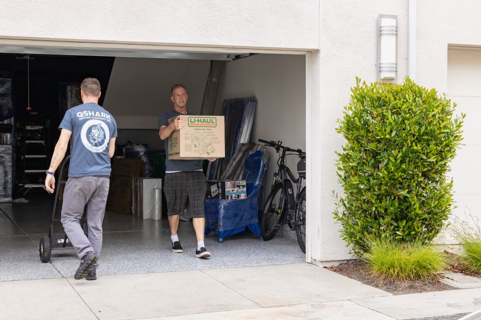 qshark movers moving boxes around 