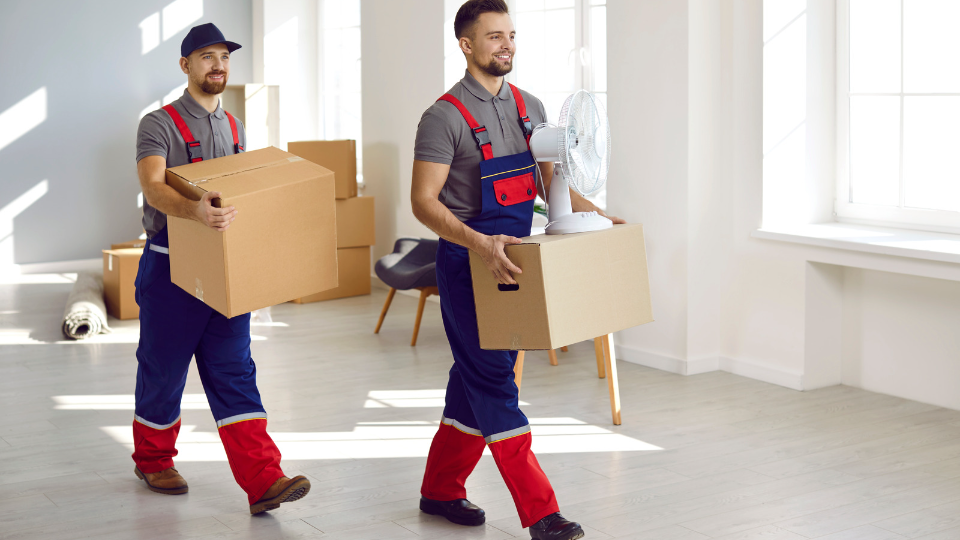 a of two movers providing moving services in san diego