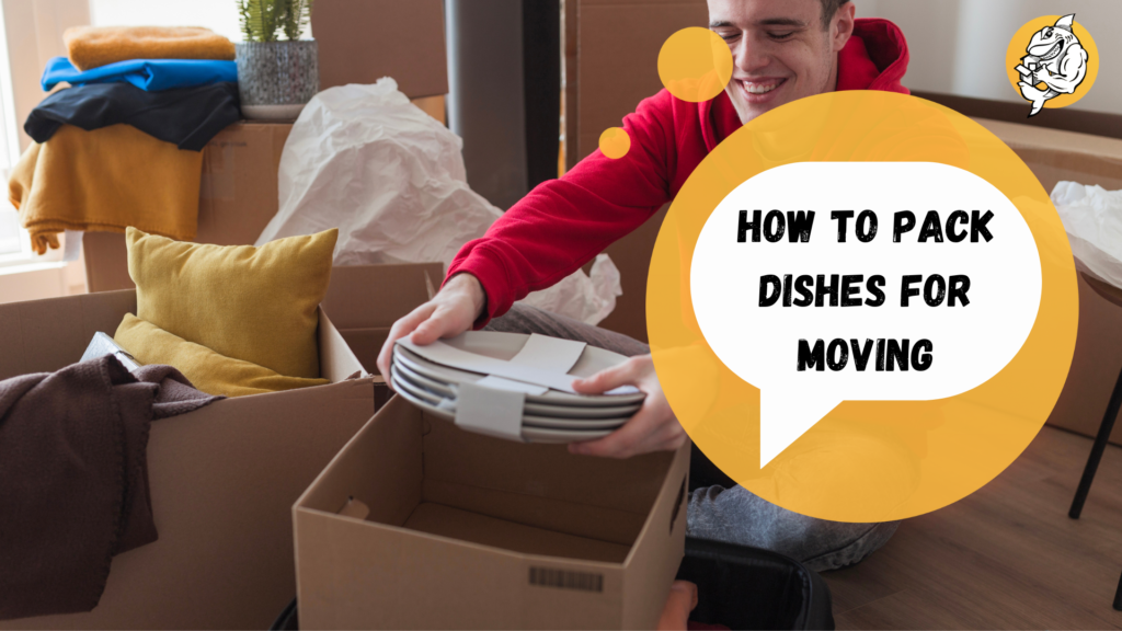 How to pack dishes for moving, a picture from qshark moving company
