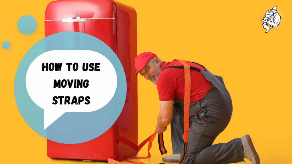 How to Use Moving Straps: Guide by QShark Moving Company