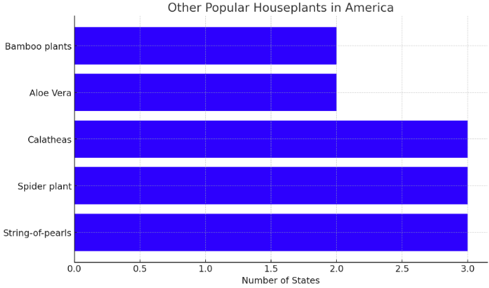 Chart of popular houseplants in USA