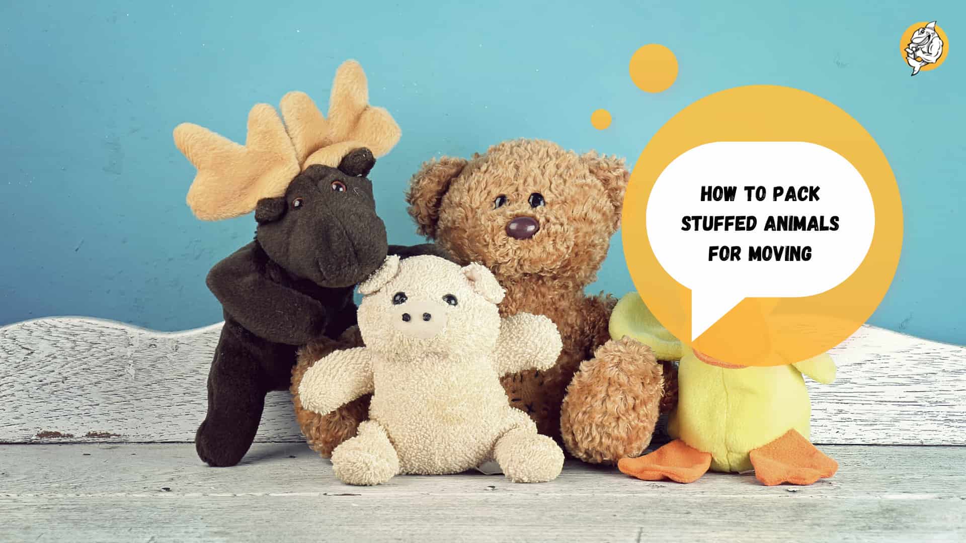 How to Pack Stuffed Animals for Moving