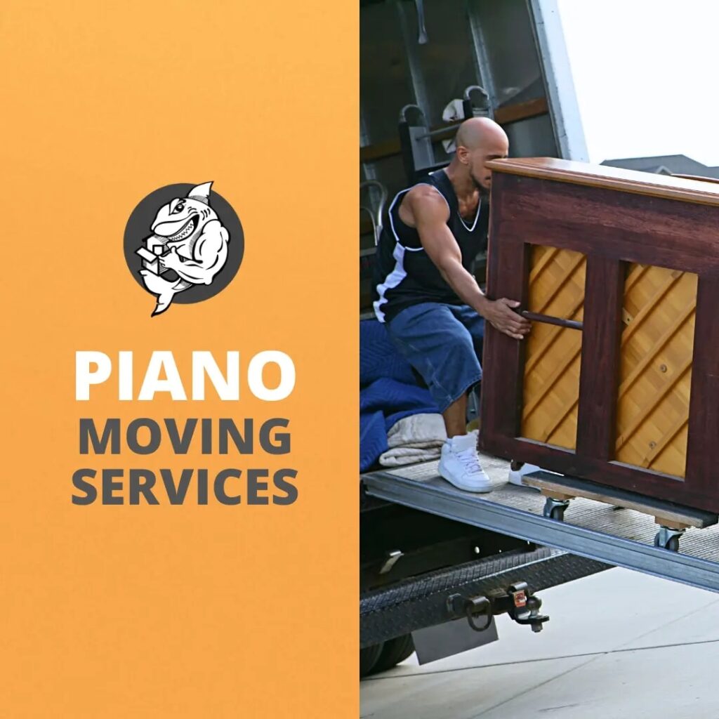 Qshark piano movers