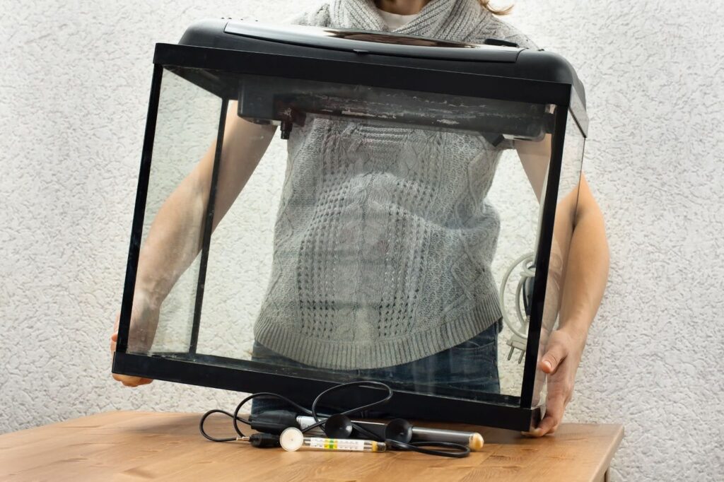 woman placing empty aquarium on the table