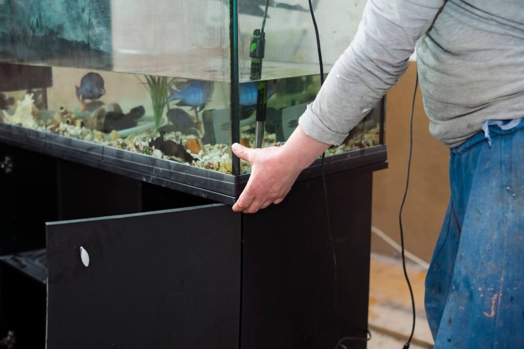 man moving a fish tank