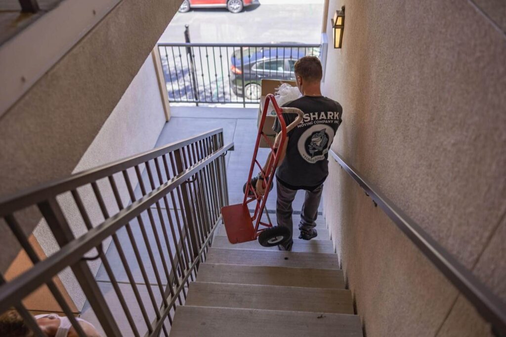 Qshark mover carrying a dolly down the stairs